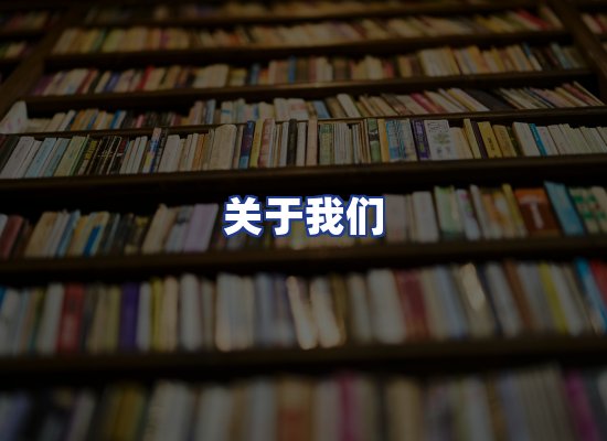 专业团队